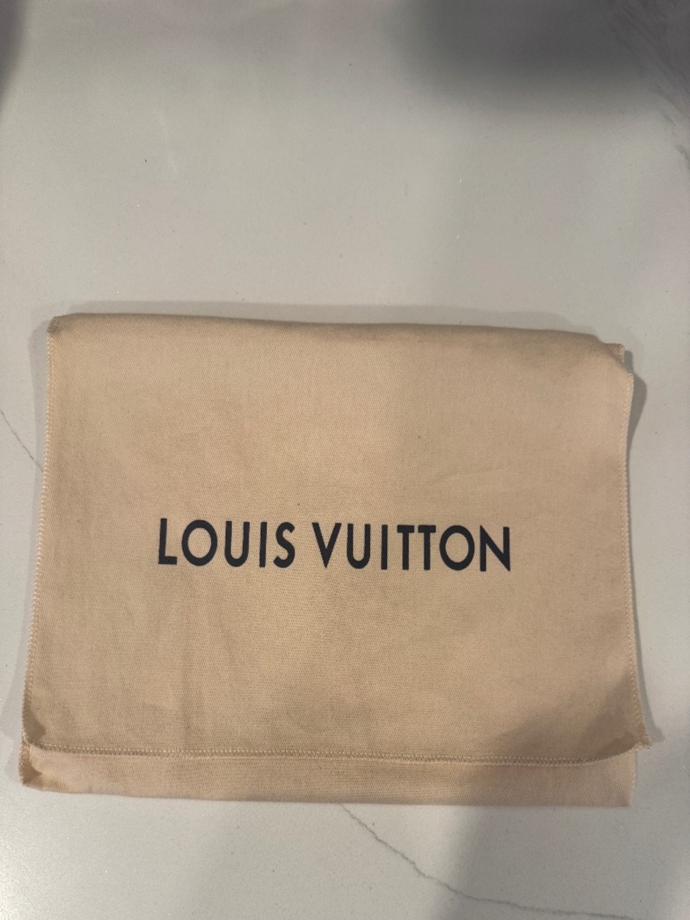 Louis Vuitton dust bag